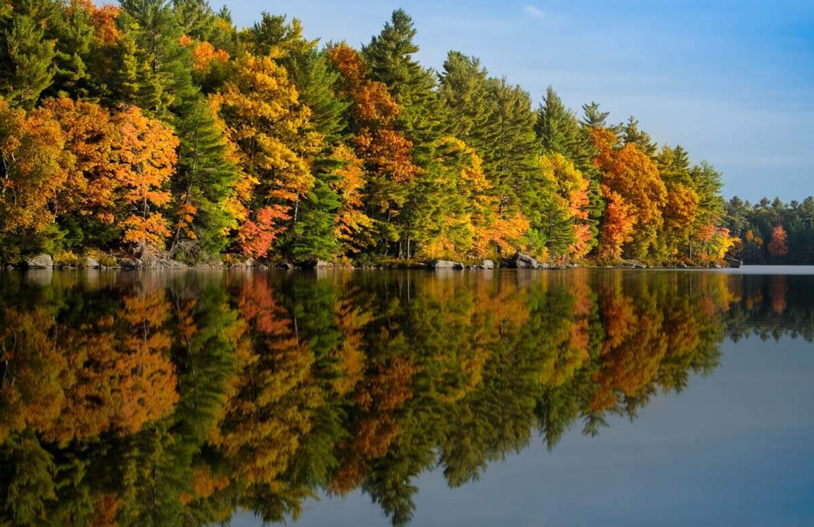 Fall leaves over a lake