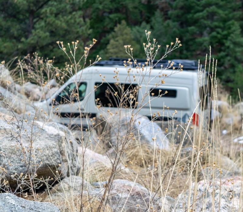 An adventure van parked in the forest, partially obscured by tall grass.